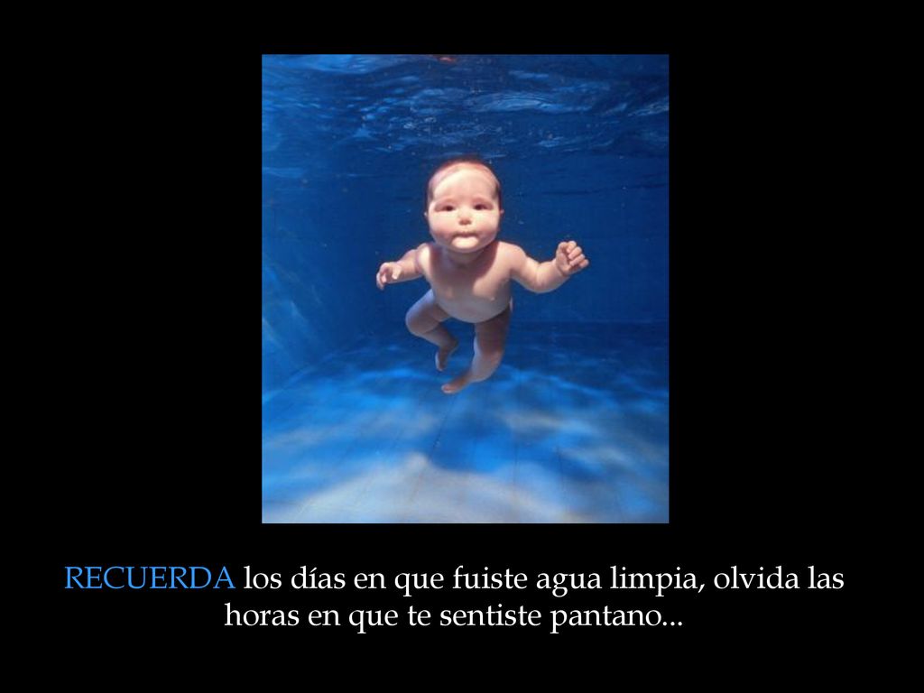 RECUERDA los días en que fuiste agua limpia, olvida las horas en que te sentiste pantano...