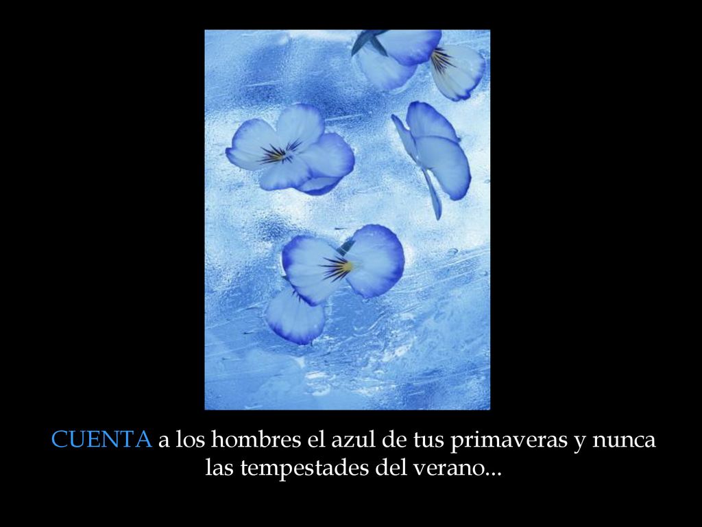 CUENTA a los hombres el azul de tus primaveras y nunca las tempestades del verano...