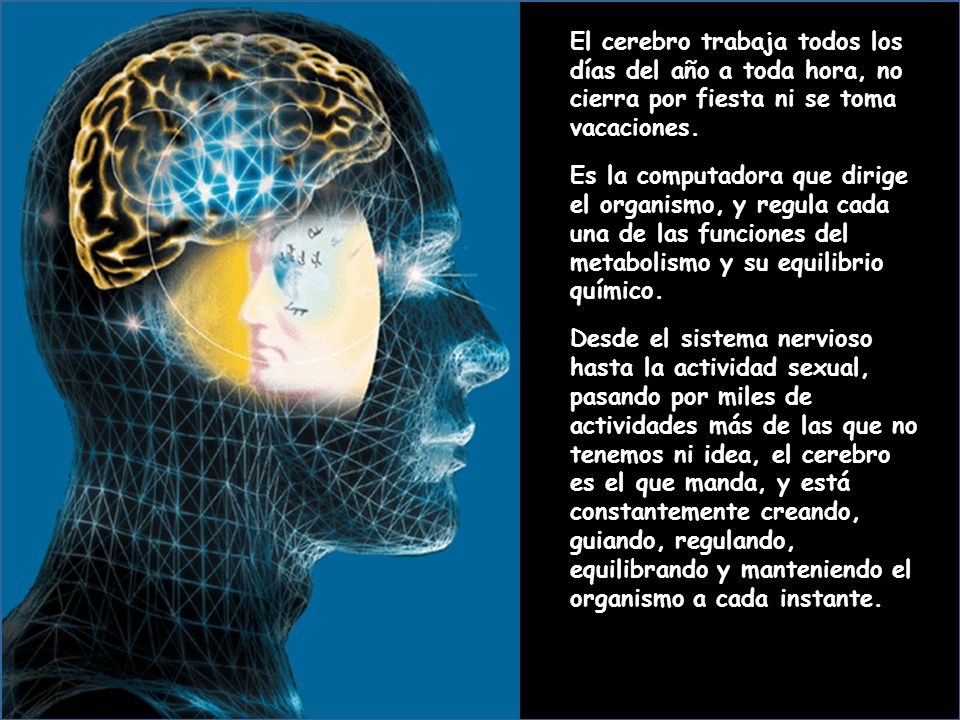 El cerebro trabaja todos los días del año a toda hora, no cierra por fiesta ni se toma vacaciones.