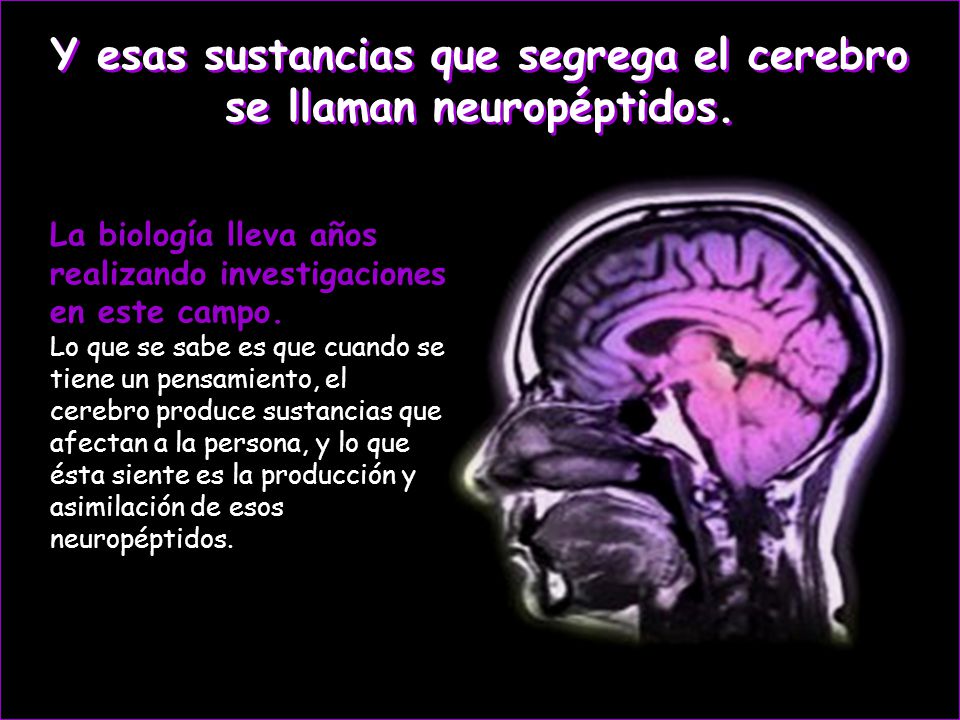 Y esas sustancias que segrega el cerebro se llaman neuropéptidos.
