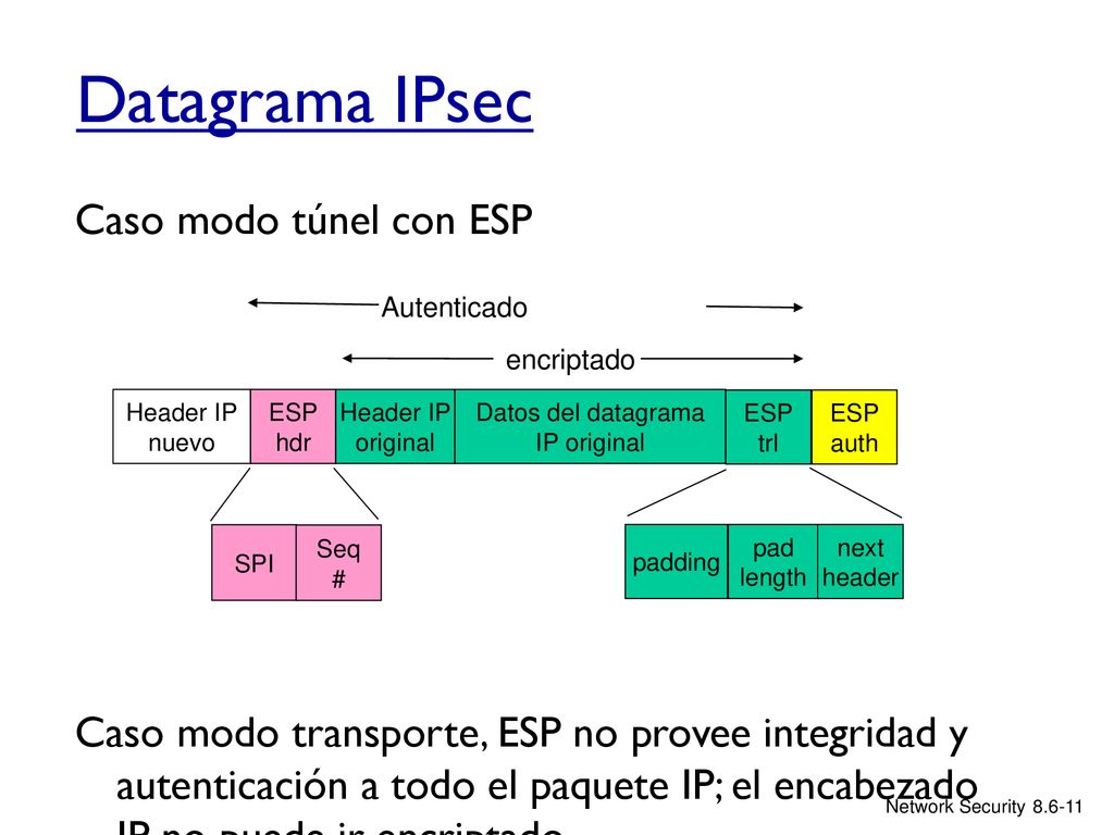 Datos del datagrama IP original