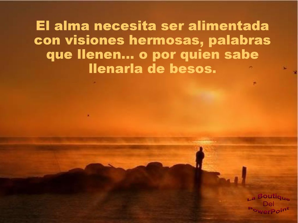 El alma necesita ser alimentada con visiones hermosas, palabras que llenen... o por quien sabe llenarla de besos.