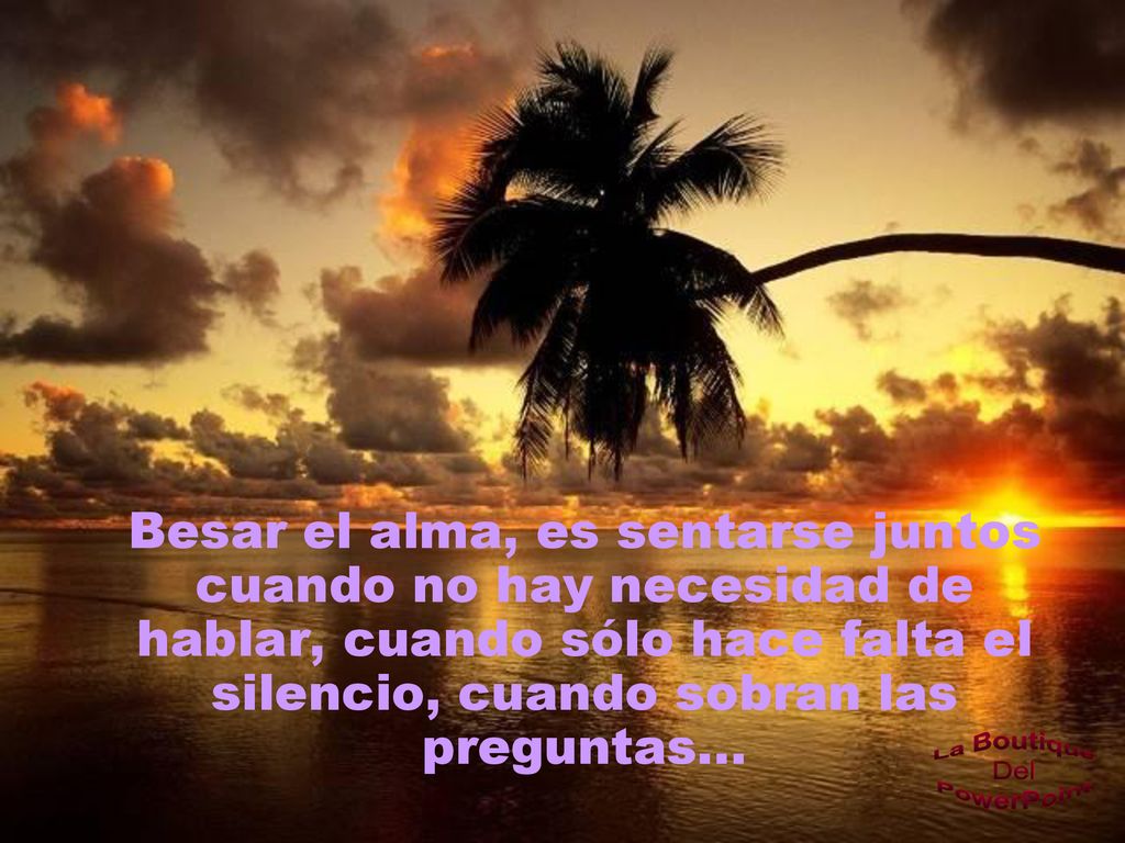 Besar el alma, es sentarse juntos cuando no hay necesidad de hablar, cuando sólo hace falta el silencio, cuando sobran las preguntas...
