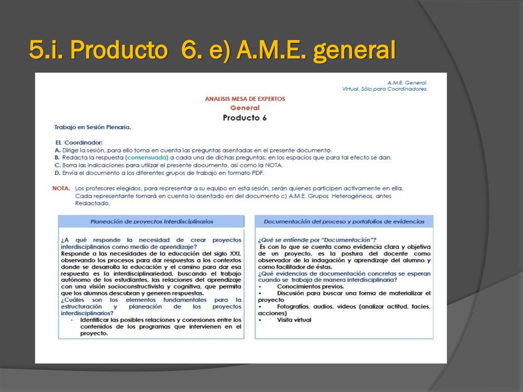 5.i. Producto 6. e) A.M.E. general