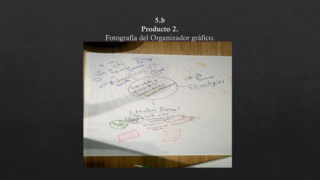 5.b Producto 2. Fotografía del Organizador gráfico.