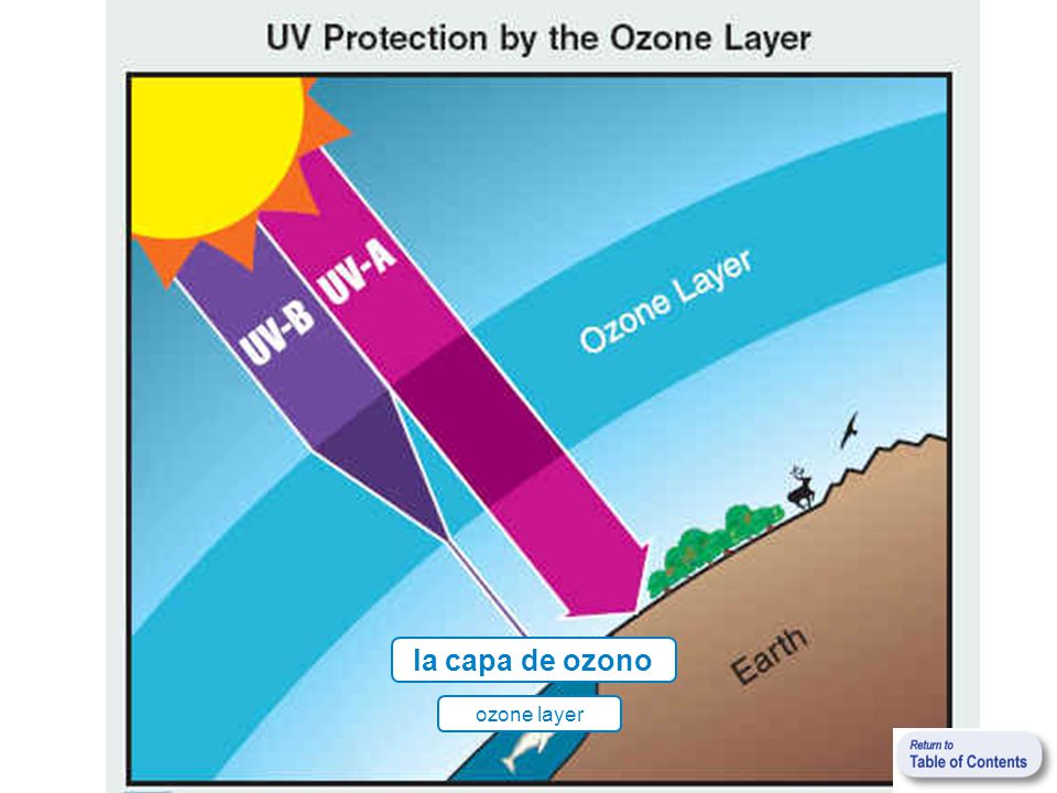 la capa de ozono ozone layer