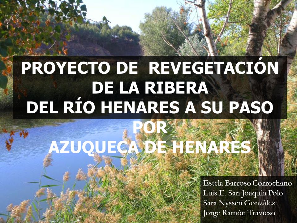 PROYECTO DE REVEGETACIÓN DE LA RIBERA DEL RÍO HENARES A SU PASO POR