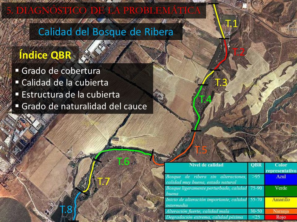 1 Km T.1 Calidad del Bosque de Ribera T.2 Índice QBR T.3 T.4 T.5 T.6