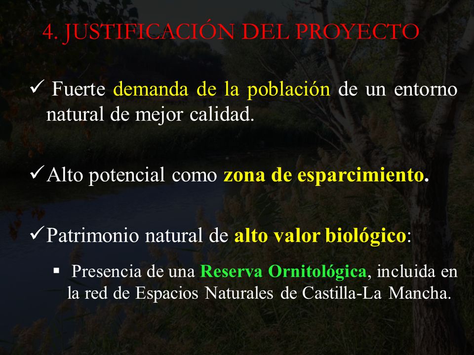 4. JUSTIFICACIÓN DEL PROYECTO