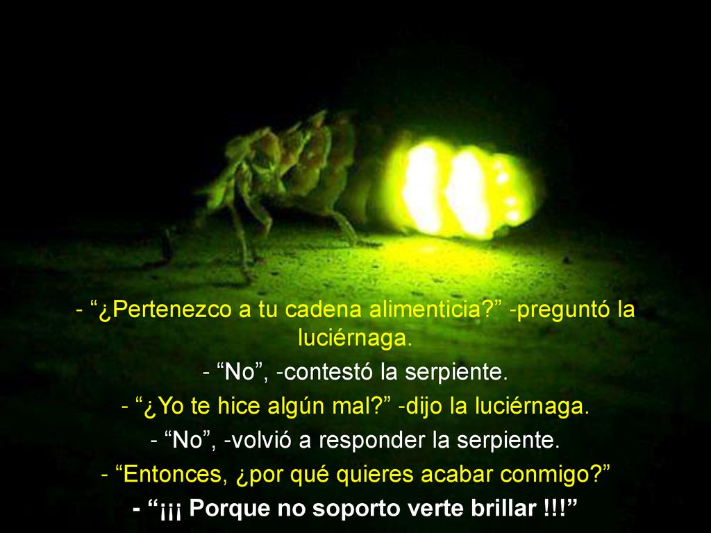 - ¡¡¡ Porque no soporto verte brillar !!!