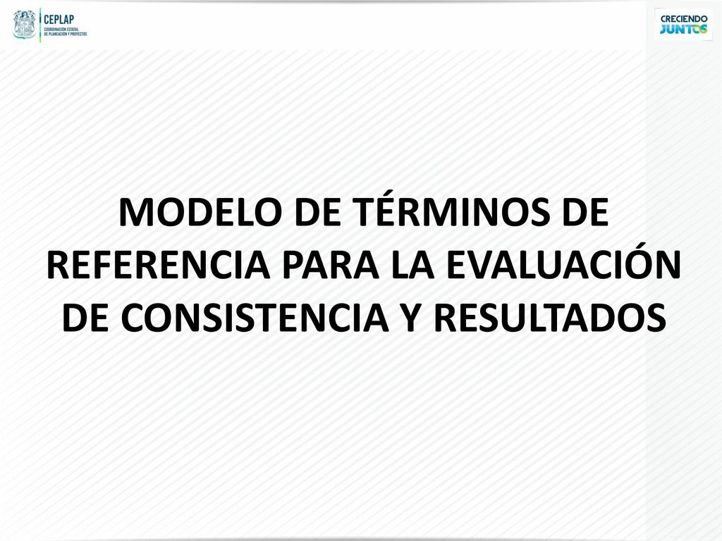 MODELO DE TÉRMINOS DE REFERENCIA PARA LA EVALUACIÓN DE CONSISTENCIA Y RESULTADOS