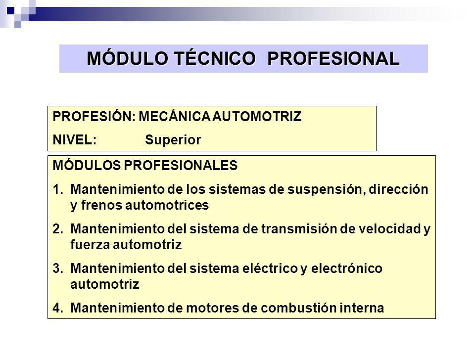 MÓDULO TÉCNICO PROFESIONAL