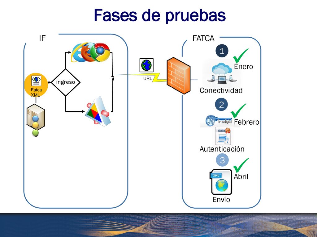    Fases de pruebas IF FATCA Enero Conectividad Febrero