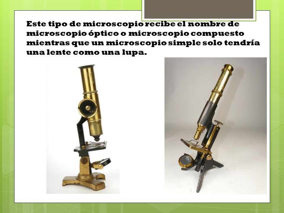 Este tipo de microscopio recibe el nombre de microscopio óptico o microscopio compuesto mientras que un microscopio simple solo tendría una lente como una lupa.