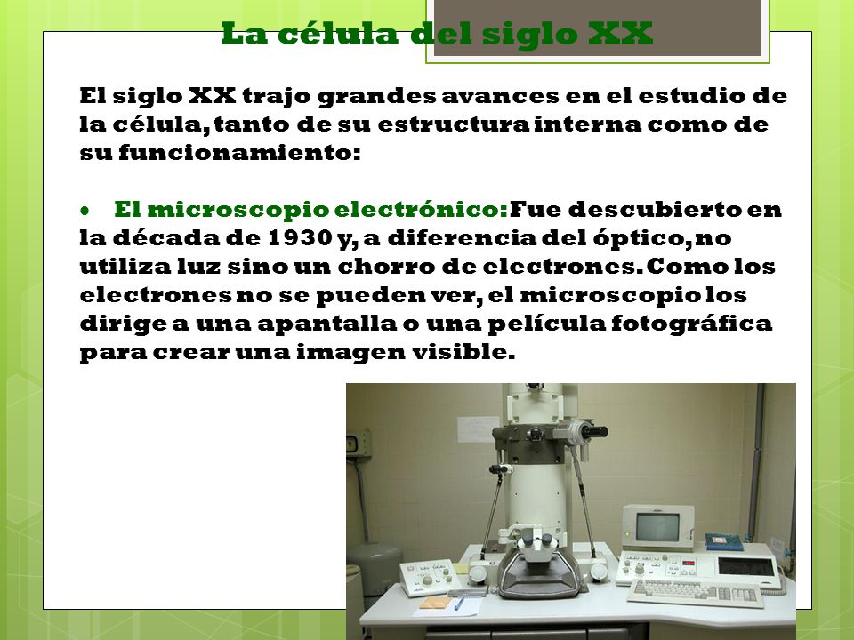 La célula del siglo XX El siglo XX trajo grandes avances en el estudio de la célula, tanto de su estructura interna como de su funcionamiento:
