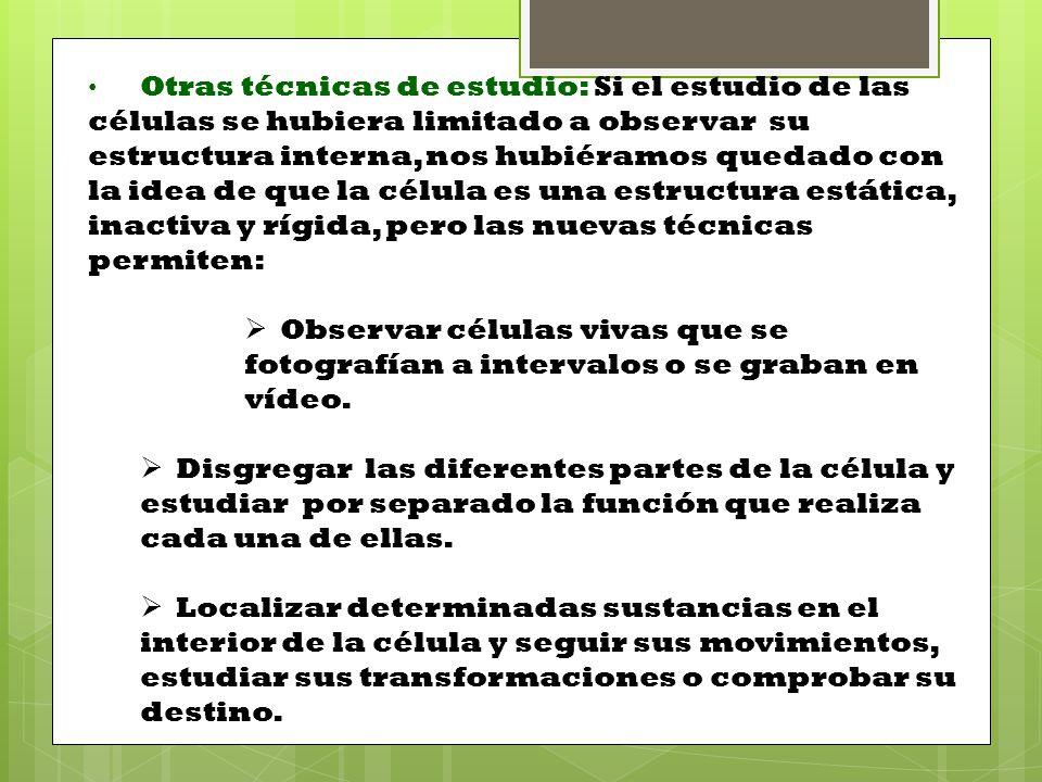 Otras técnicas de estudio: Si el estudio de las células se hubiera limitado a observar su estructura interna, nos hubiéramos quedado con la idea de que la célula es una estructura estática, inactiva y rígida, pero las nuevas técnicas permiten: