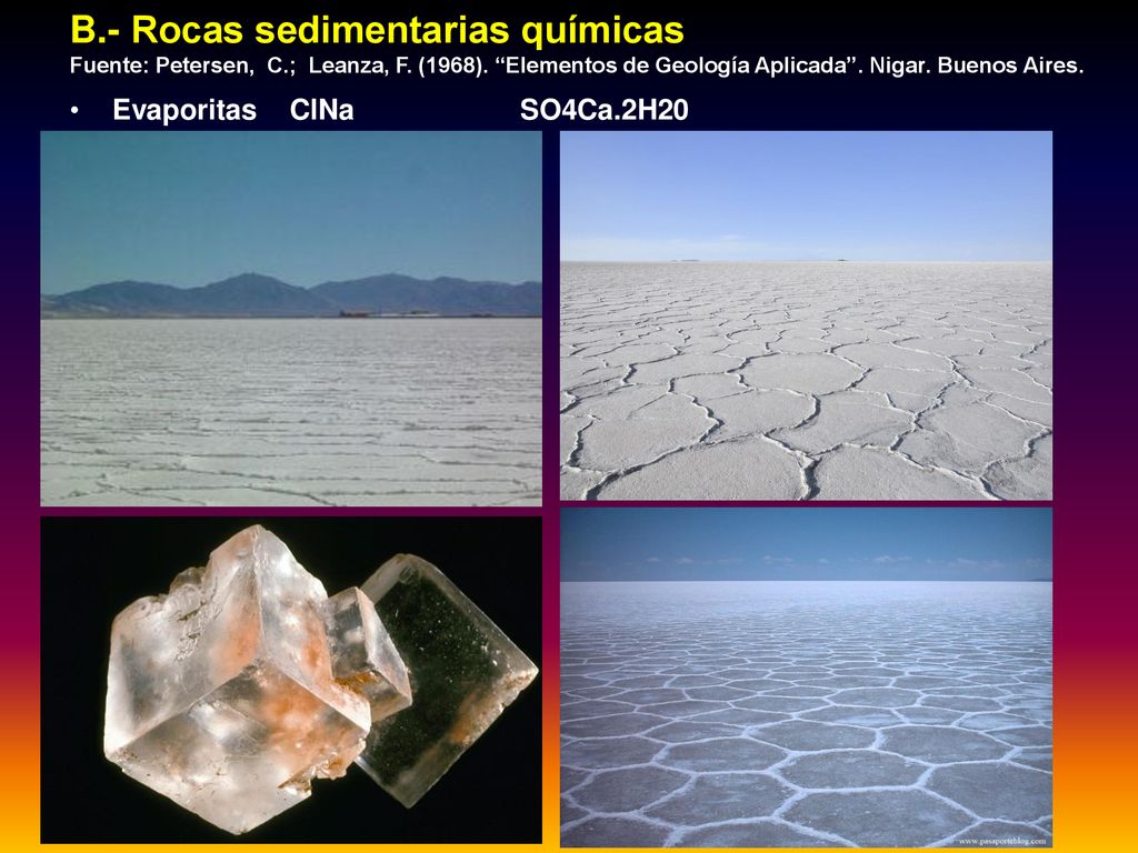 B. - Rocas sedimentarias químicas Fuente: Petersen, C. ; Leanza, F