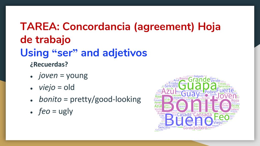 TAREA: Concordancia (agreement) Hoja de trabajo Using ser and adjetivos