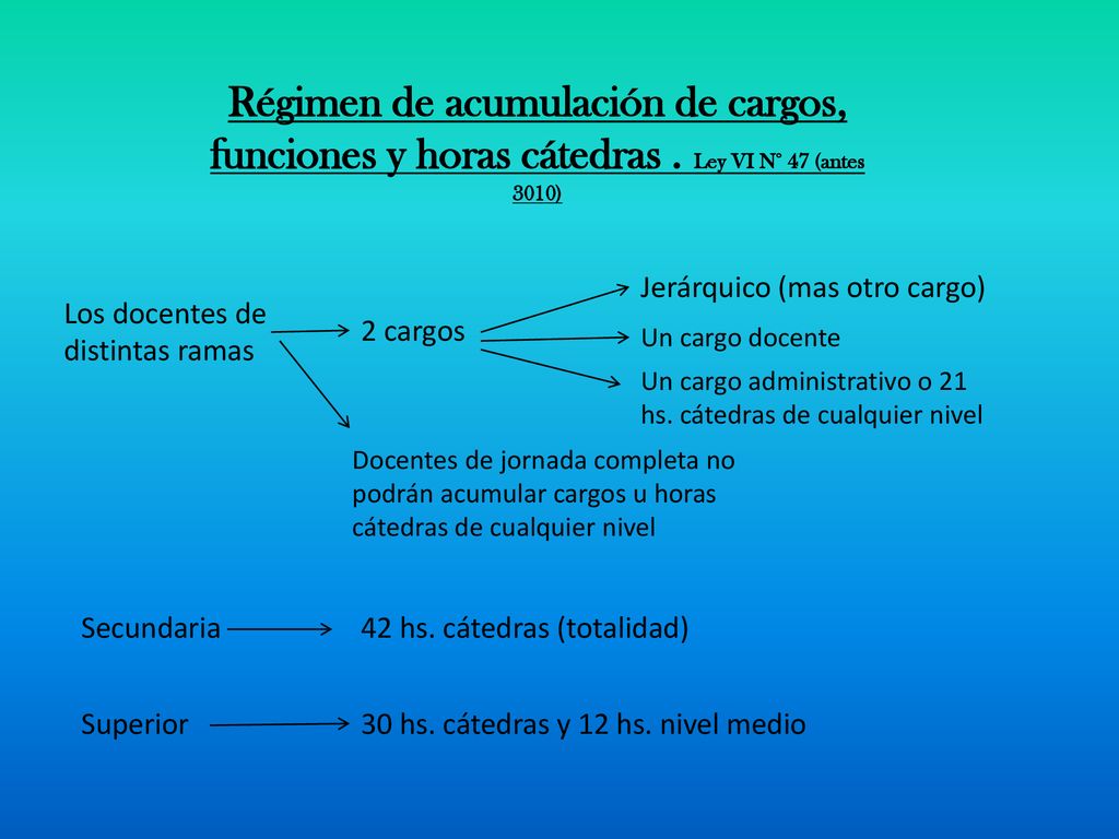 Régimen de acumulación de cargos, funciones y horas cátedras