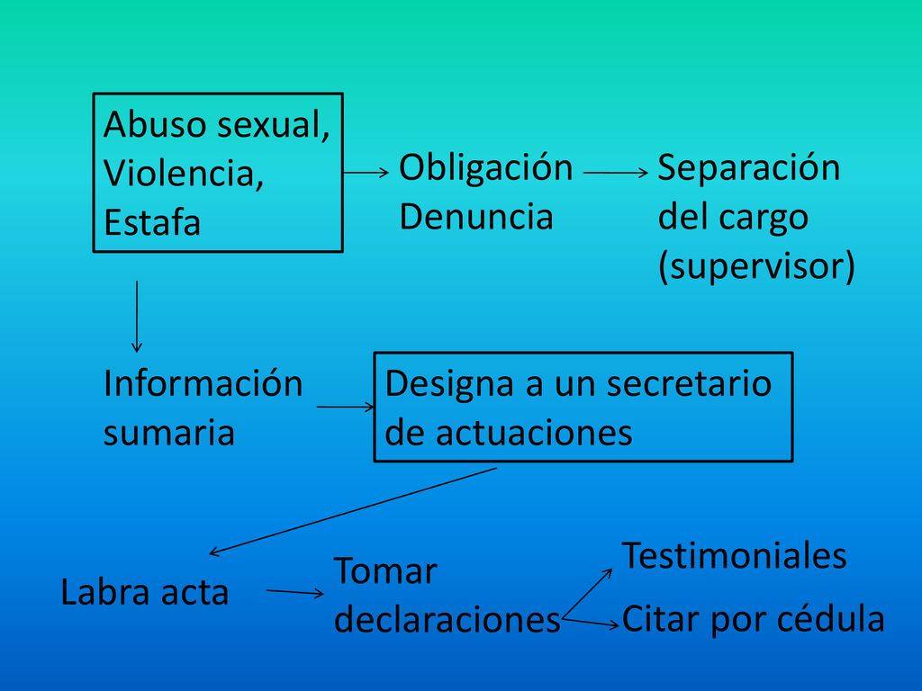 Abuso sexual, Violencia, Estafa. Obligación Denuncia. Separación del cargo (supervisor) Información sumaria.