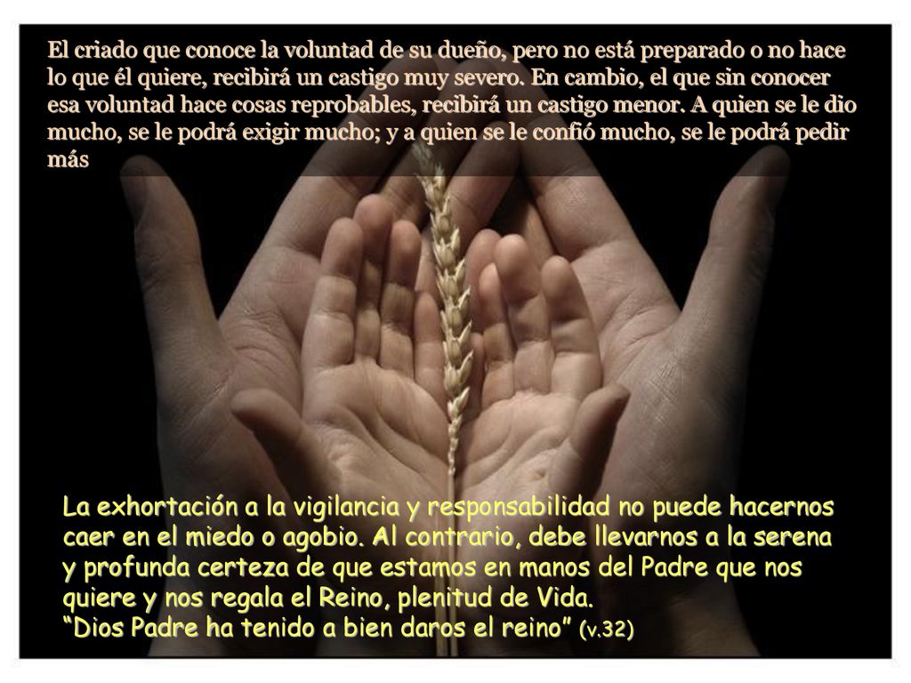 Dios Padre ha tenido a bien daros el reino (v.32)