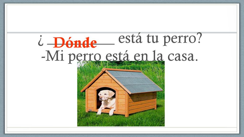 ¿ _________ está tu perro -Mi perro está en la casa.