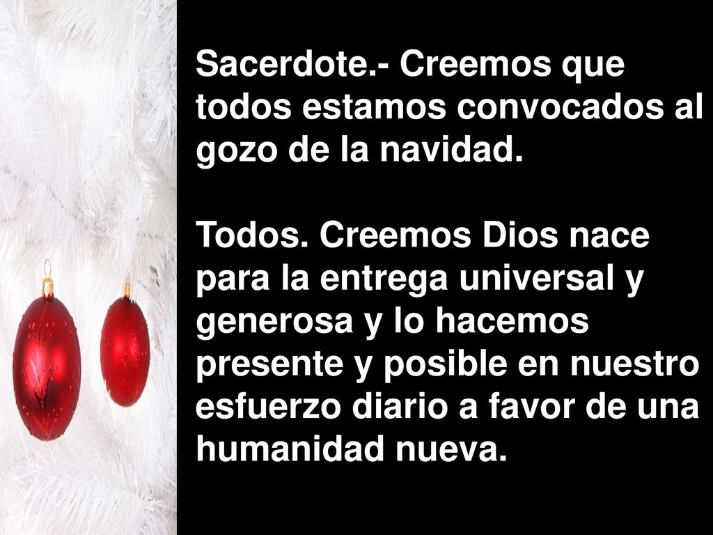 Sacerdote.- Creemos que todos estamos convocados al gozo de la navidad.