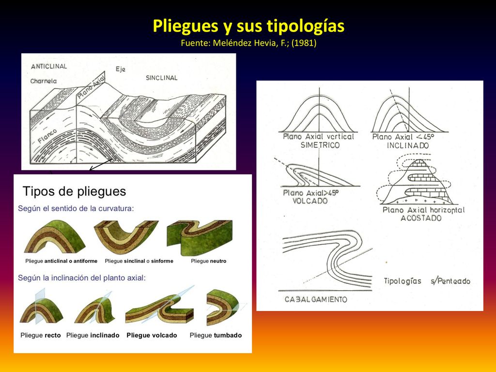 Pliegues y sus tipologías Fuente: Meléndez Hevia, F.; (1981)