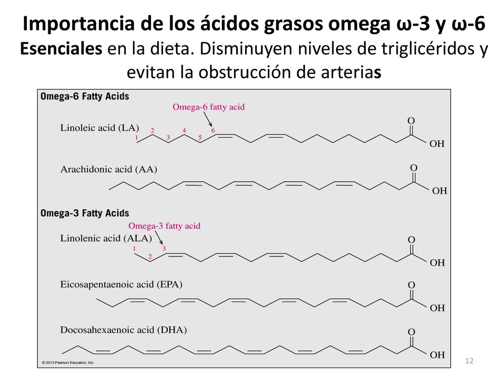 Importancia de los ácidos grasos omega ω-3 y ω-6 Esenciales en la dieta.