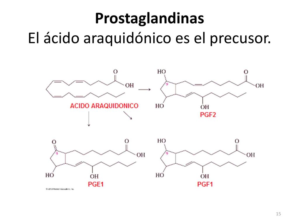 Prostaglandinas El ácido araquidónico es el precusor.