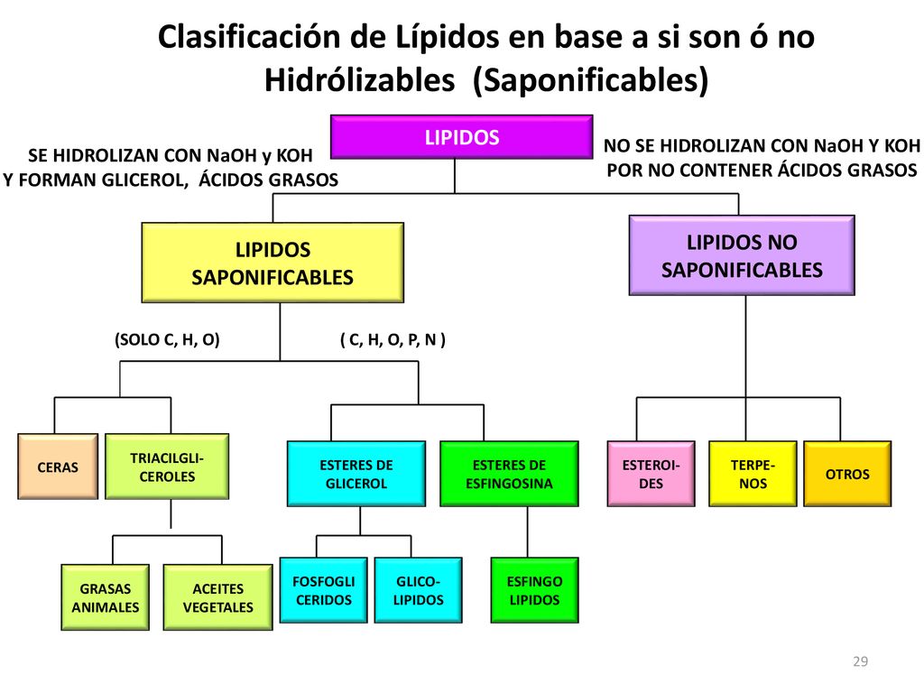 Clasificación de Lípidos en base a si son ó no Hidrólizables (Saponificables)
