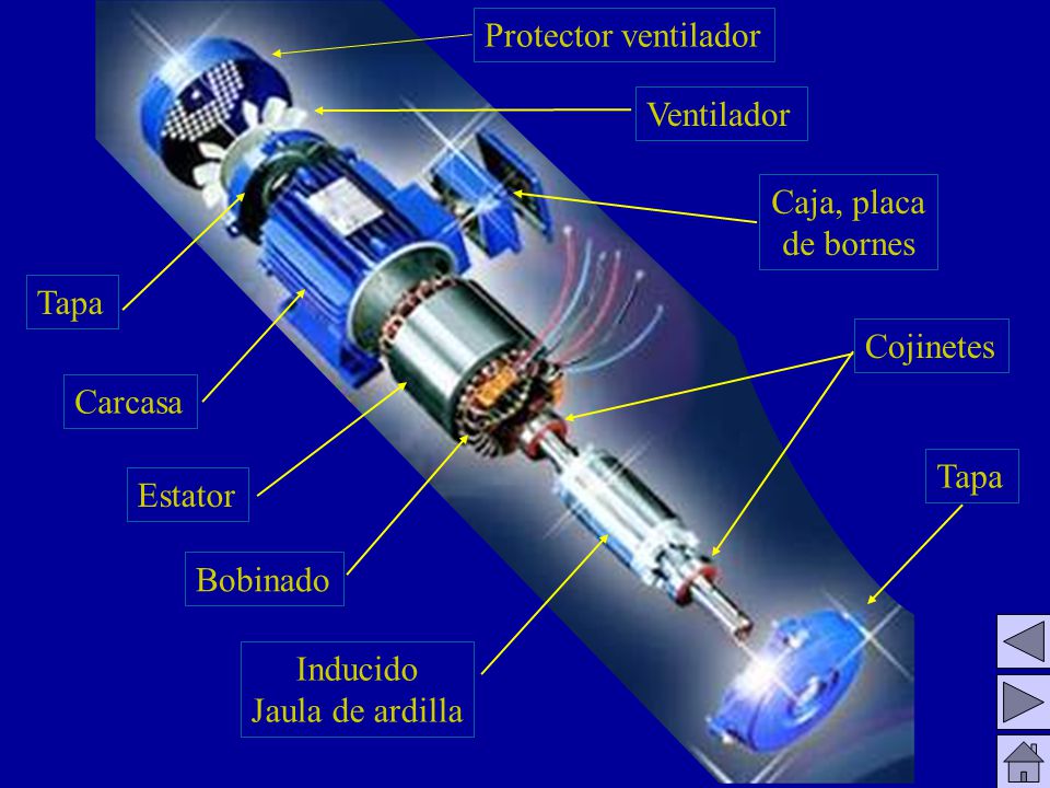 Protector ventilador Ventilador. Caja, placa. de bornes. Tapa. Cojinetes. Carcasa. Tapa. Estator.