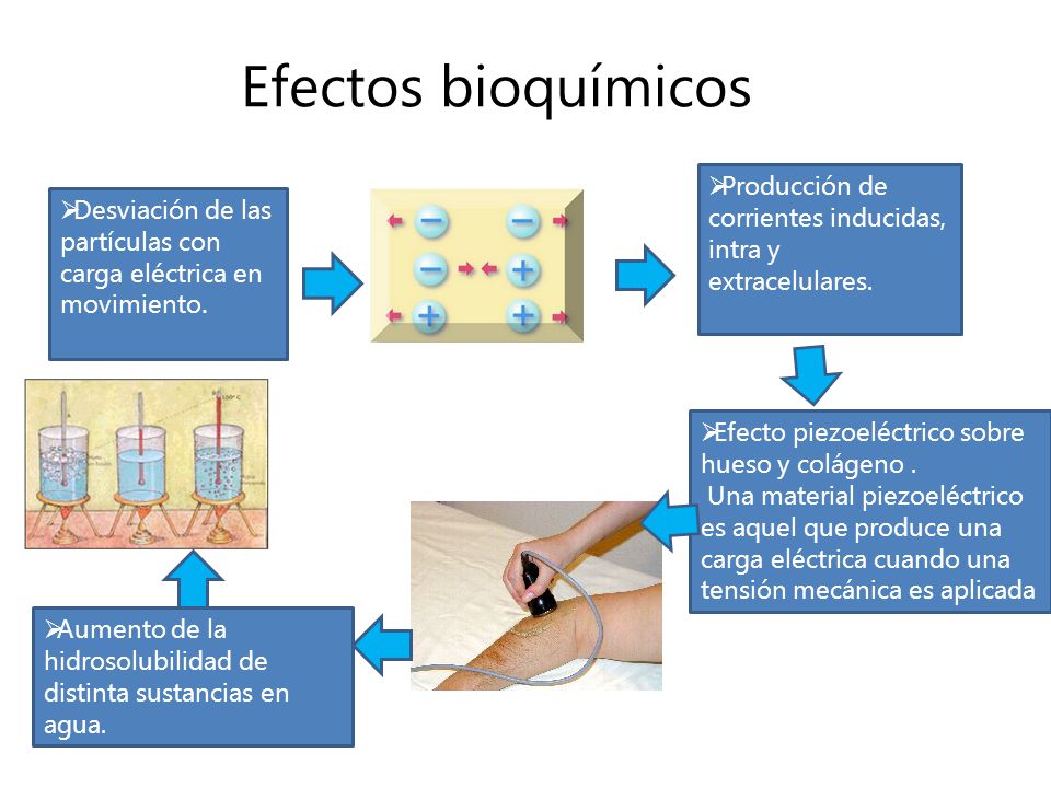 Efectos bioquímicos Producción de corrientes inducidas, intra y extracelulares. Desviación de las partículas con carga eléctrica en movimiento.