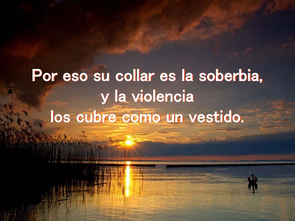 Por eso su collar es la soberbia, los cubre como un vestido.