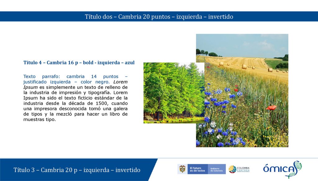 Título dos – Cambria 20 puntos – izquierda – invertido
