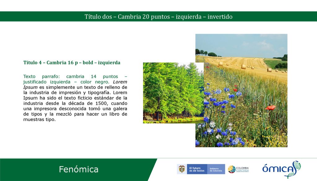 Título dos – Cambria 20 puntos – izquierda – invertido
