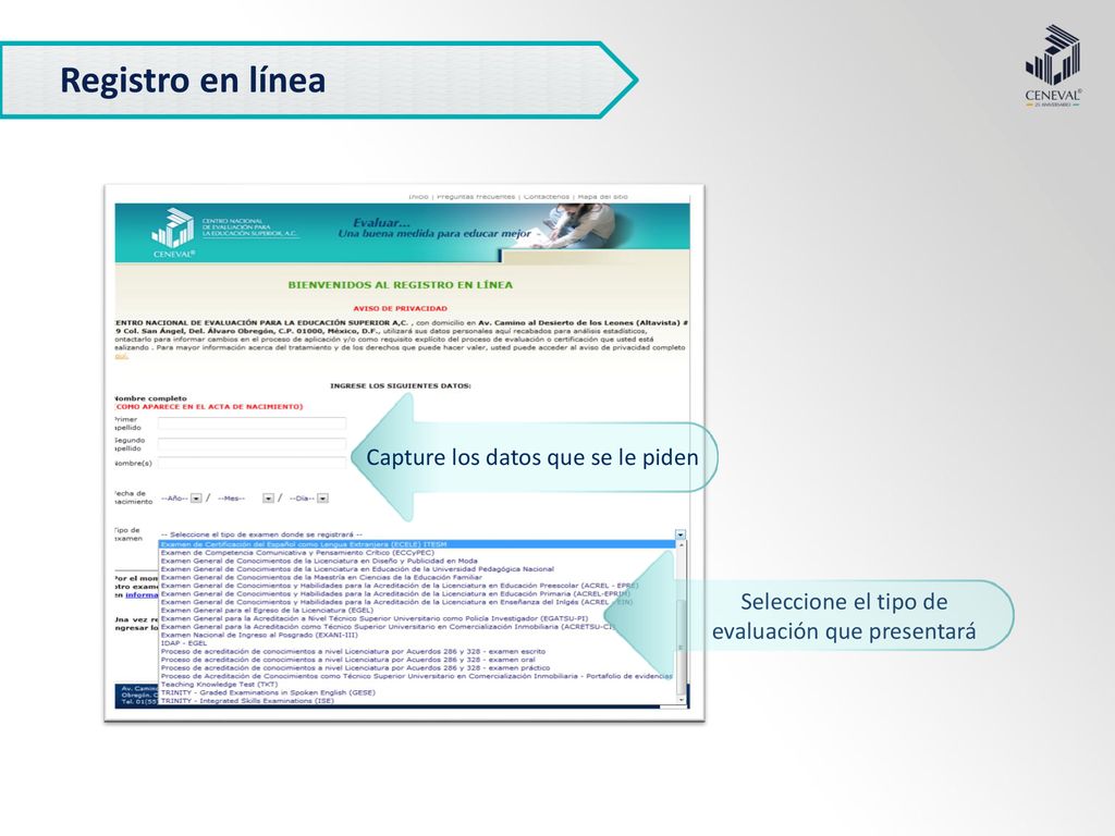 Registro en línea Capture los datos que se le piden