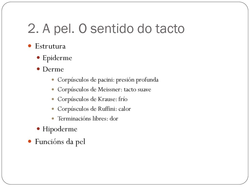 2. A pel. O sentido do tacto Estrutura Funcións da pel Epiderme Derme