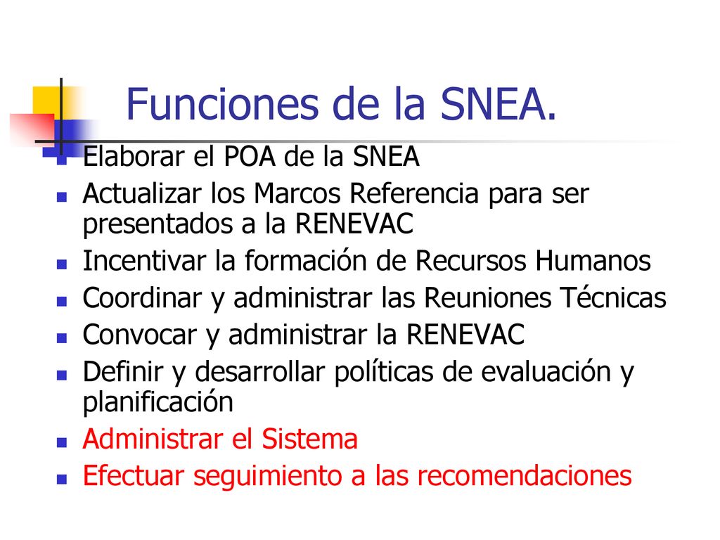 Funciones de la SNEA. Elaborar el POA de la SNEA