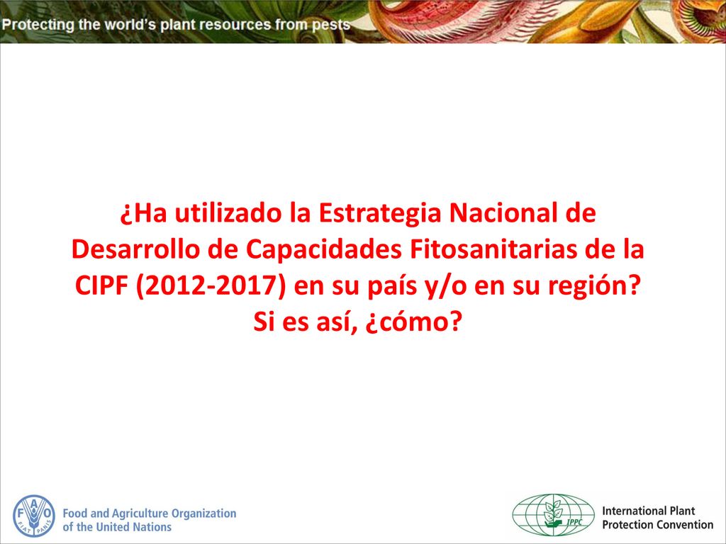 ¿Ha utilizado la Estrategia Nacional de Desarrollo de Capacidades Fitosanitarias de la CIPF ( ) en su país y/o en su región