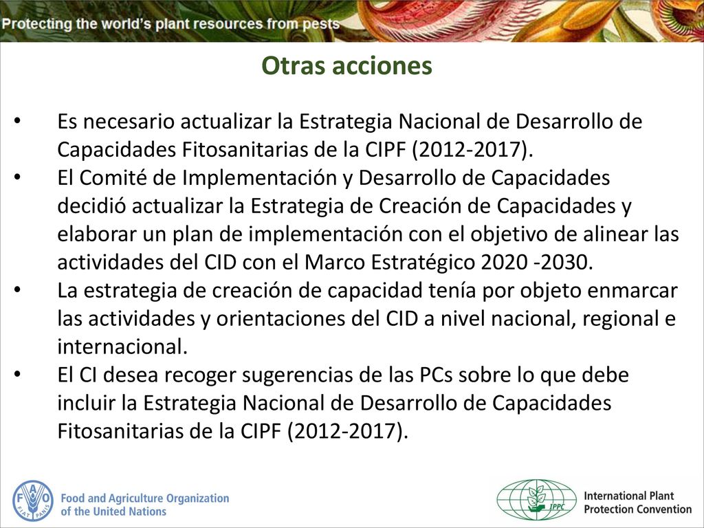 Otras acciones Es necesario actualizar la Estrategia Nacional de Desarrollo de Capacidades Fitosanitarias de la CIPF ( ).