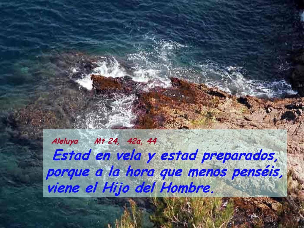 Aleluya Mt 24, 42a, 44 Estad en vela y estad preparados, porque a la hora que menos penséis, viene el Hijo del Hombre.