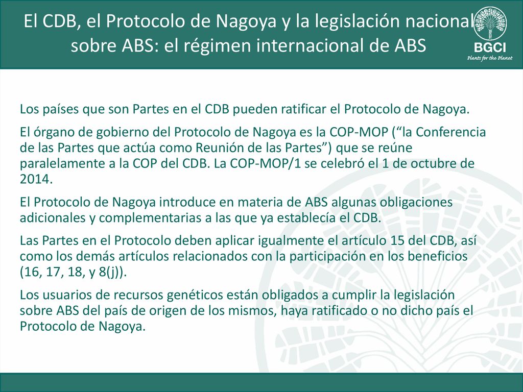 El CDB, el Protocolo de Nagoya y la legislación nacional sobre ABS: el régimen internacional de ABS
