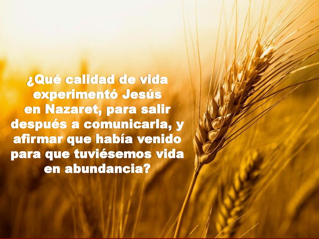 ¿Qué calidad de vida experimentó Jesús en Nazaret, para salir después a comunicarla, y afirmar que había venido para que tuviésemos vida en abundancia