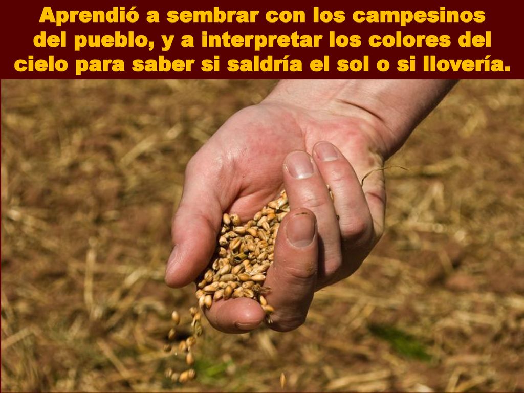 Aprendió a sembrar con los campesinos del pueblo, y a interpretar los colores del cielo para saber si saldría el sol o si llovería.