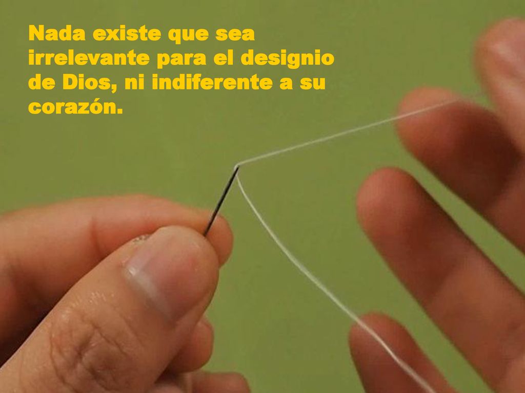 Nada existe que sea irrelevante para el designio de Dios, ni indiferente a su corazón.