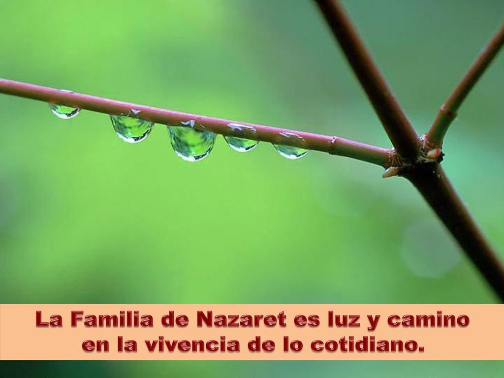 La Familia de Nazaret es luz y camino en la vivencia de lo cotidiano.