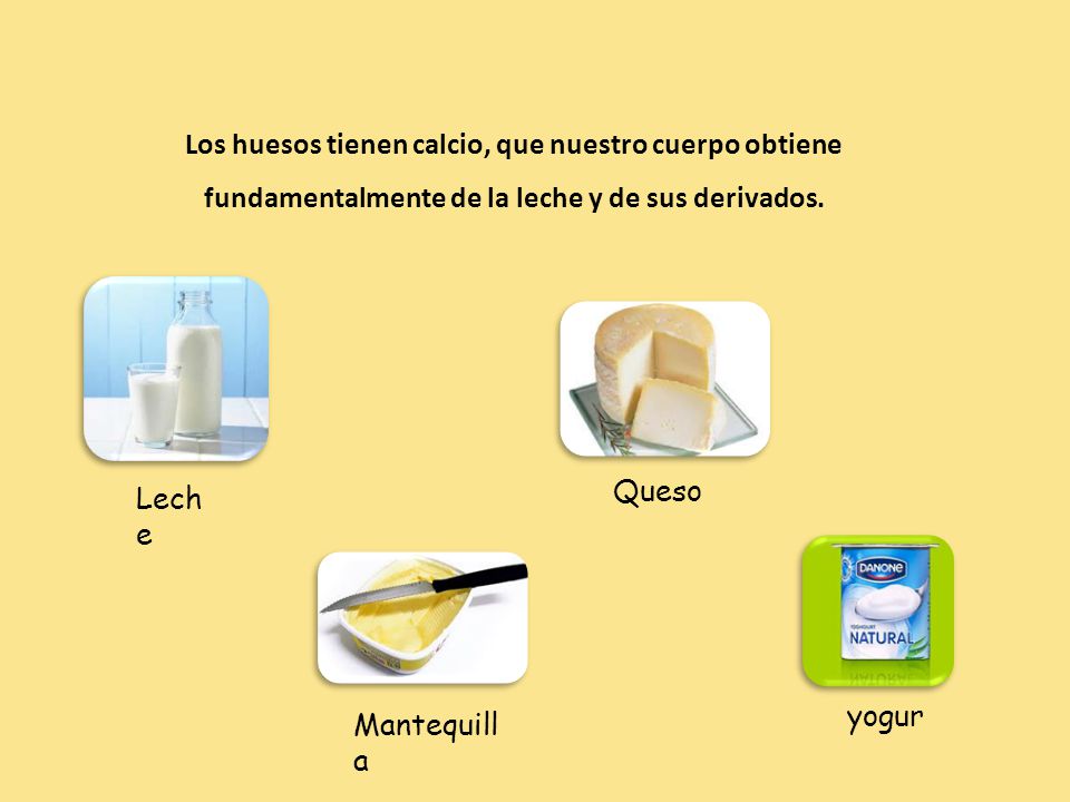 Los huesos tienen calcio, que nuestro cuerpo obtiene fundamentalmente de la leche y de sus derivados.