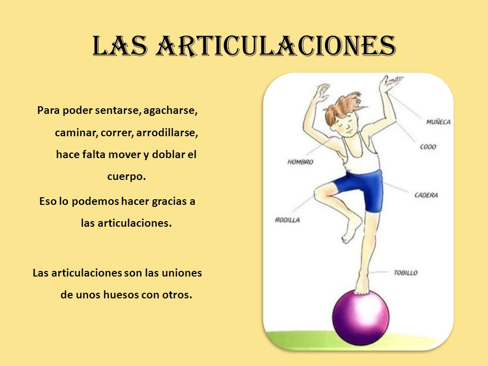LAS ARTICULACIONES Para poder sentarse, agacharse, caminar, correr, arrodillarse, hace falta mover y doblar el cuerpo.