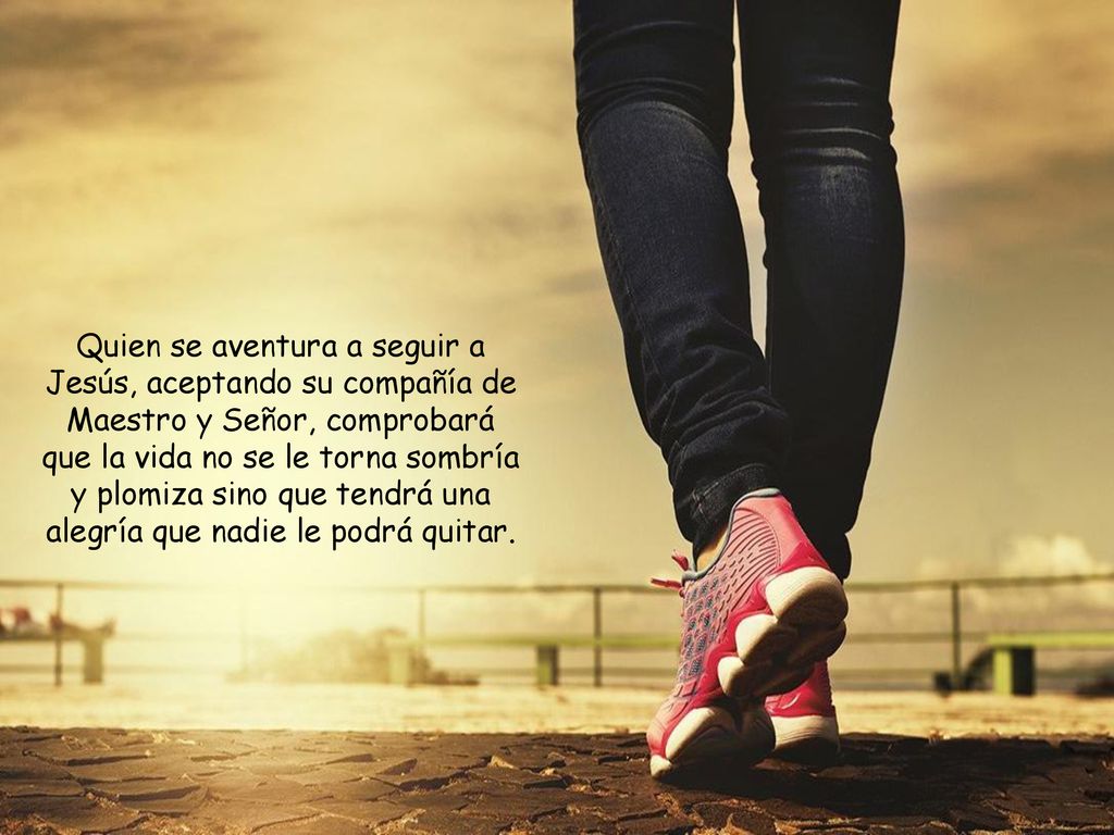 Quien se aventura a seguir a Jesús, aceptando su compañía de Maestro y Señor, comprobará que la vida no se le torna sombría y plomiza sino que tendrá una alegría que nadie le podrá quitar.